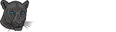 High Quality Gray Panther PAC Blank Meme Template