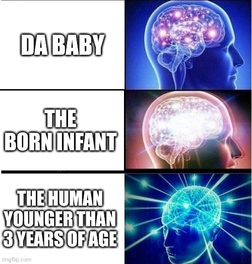 Expanding brain 3 panels | DA BABY; THE BORN INFANT; THE HUMAN YOUNGER THAN 3 YEARS OF AGE | image tagged in expanding brain 3 panels,memes,big brain | made w/ Imgflip meme maker