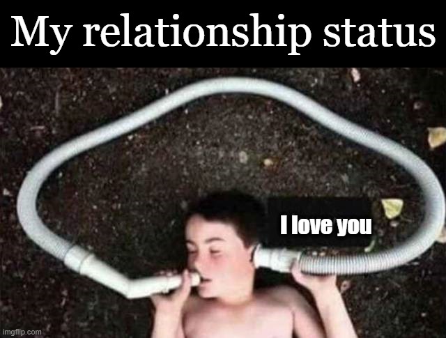 My relationship status; I love you | image tagged in relationship | made w/ Imgflip meme maker