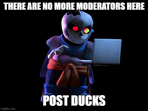 Dusttrust Computer | THERE ARE NO MORE MODERATORS HERE; POST DUCKS | image tagged in dusttrust computer | made w/ Imgflip meme maker