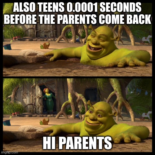 Umf | ALSO TEENS 0.0001 SECONDS BEFORE THE PARENTS COME BACK HI PARENTS | image tagged in umf | made w/ Imgflip meme maker