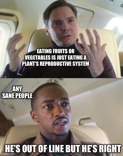 Insomnia again but now I’m being “productive” | EATING FRUITS OR VEGETABLES IS JUST EATING A PLANT’S REPRODUCTIVE SYSTEM; ANY SANE PEOPLE; HE’S OUT OF LINE BUT HE’S RIGHT | image tagged in out of line but he's right | made w/ Imgflip meme maker