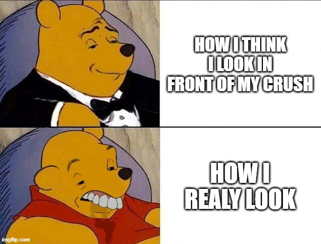 . | HOW I THINK I LOOK IN FRONT OF MY CRUSH; HOW I REALY LOOK | image tagged in tuxedo winnie the pooh grossed reverse | made w/ Imgflip meme maker