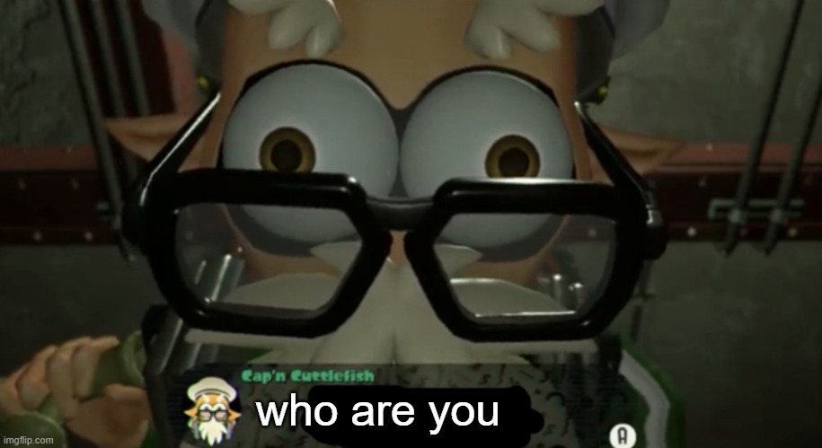 (●__●) | who are you | image tagged in cap n cuttlefish talking to you | made w/ Imgflip meme maker