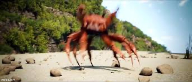 crab rave | image tagged in crab rave | made w/ Imgflip meme maker