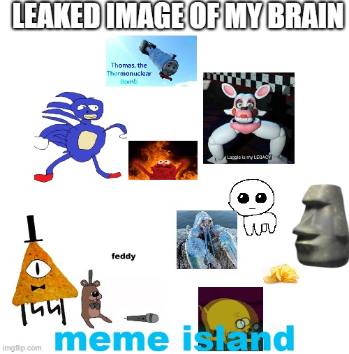 White blank square (no transparency) | LEAKED IMAGE OF MY BRAIN; meme island | image tagged in white blank square no transparency | made w/ Imgflip meme maker