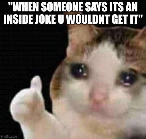 a different type of pain | "WHEN SOMEONE SAYS ITS AN INSIDE JOKE U WOULDNT GET IT" | image tagged in sad thumbs up cat | made w/ Imgflip meme maker