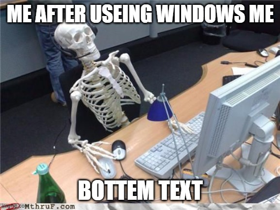 Skeleton Computer | ME AFTER USEING WINDOWS ME; BOTTEM TEXT | image tagged in skeleton computer | made w/ Imgflip meme maker