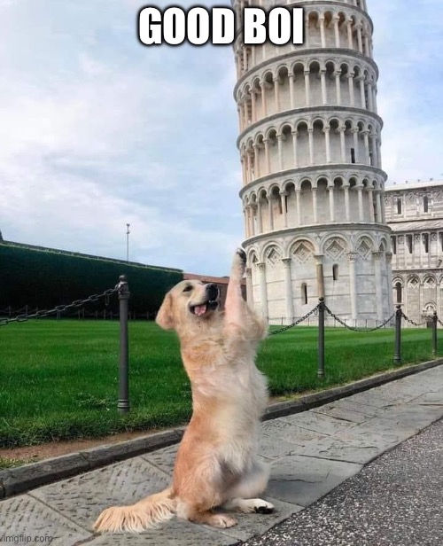 God boy | GOOD BOI | image tagged in good boy,dog,pizza tower | made w/ Imgflip meme maker