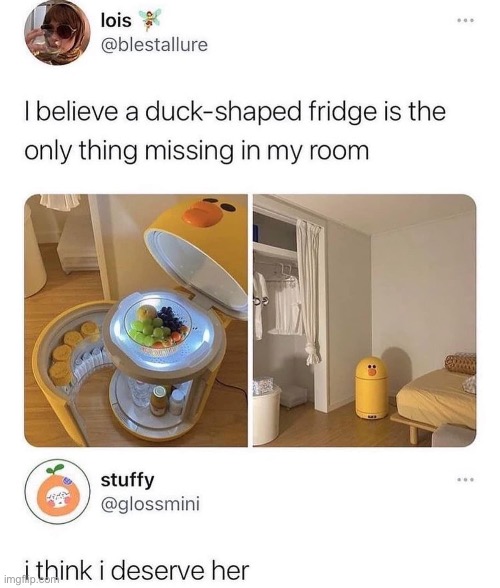 Duck bin | image tagged in duck | made w/ Imgflip meme maker
