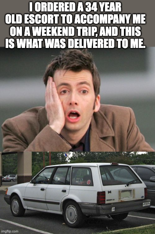 Escort | I ORDERED A 34 YEAR OLD ESCORT TO ACCOMPANY ME ON A WEEKEND TRIP, AND THIS IS WHAT WAS DELIVERED TO ME. | image tagged in face palm | made w/ Imgflip meme maker