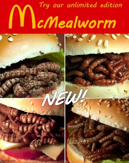 AI pages give good material | Try our unlimited edition; cMealworm; NEW! | image tagged in funny,disturbing,ai | made w/ Imgflip meme maker