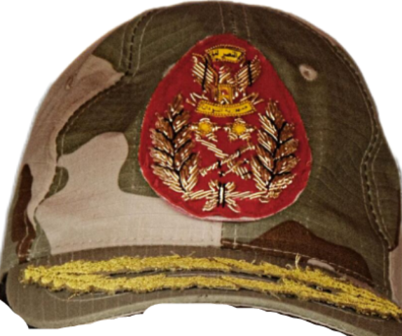 Rsf hat Blank Meme Template