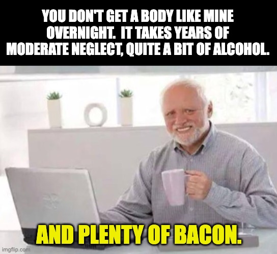 Physique | YOU DON'T GET A BODY LIKE MINE OVERNIGHT.  IT TAKES YEARS OF MODERATE NEGLECT, QUITE A BIT OF ALCOHOL. AND PLENTY OF BACON. | image tagged in harold | made w/ Imgflip meme maker