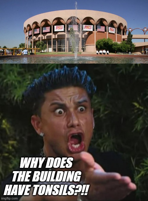 seriously.... | WHY DOES THE BUILDING HAVE TONSILS?!! | image tagged in memes,dj pauly d | made w/ Imgflip meme maker