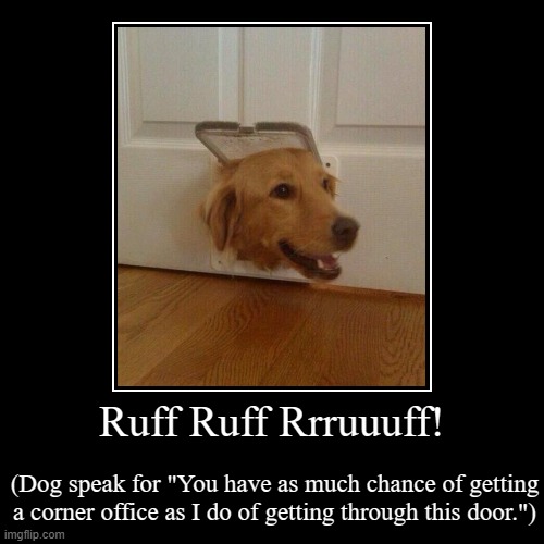 Isn't nice to be demotivated by such a cute pooch? | Ruff Ruff Rrruuuff! | (Dog speak for "You have as much chance of getting a corner office as I do of getting through this door.") | image tagged in funny,demotivationals,anti-promotion,cute dog,stuck | made w/ Imgflip demotivational maker