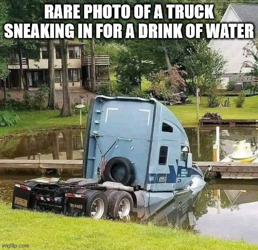 RARE PHOTO OF A TRUCK SNEAKING IN FOR A DRINK OF WATER | image tagged in durl earl | made w/ Imgflip meme maker