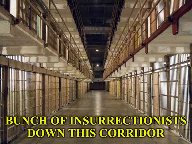 Prison | BUNCH OF INSURRECTIONISTS DOWN THIS CORRIDOR | image tagged in prison | made w/ Imgflip meme maker