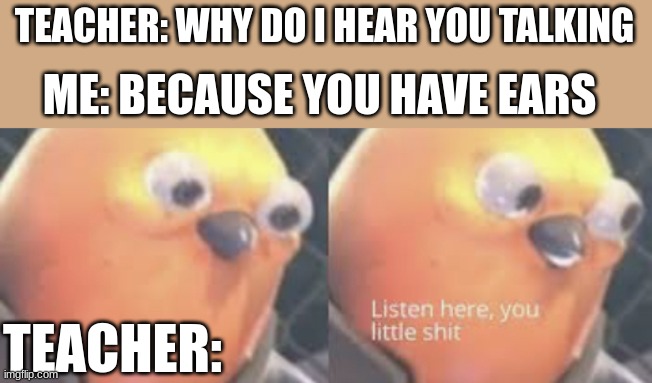 Listen here you little shit bird | TEACHER: WHY DO I HEAR YOU TALKING; ME: BECAUSE YOU HAVE EARS; TEACHER: | image tagged in listen here you little shit bird | made w/ Imgflip meme maker