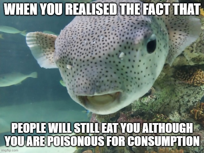 Surprised Pufferfish | WHEN YOU REALISED THE FACT THAT; PEOPLE WILL STILL EAT YOU ALTHOUGH YOU ARE POISONOUS FOR CONSUMPTION | image tagged in surprised pufferfish | made w/ Imgflip meme maker