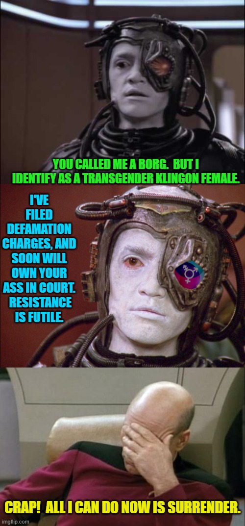 The 24th Century now seems strangely familiar, doesn't it? | I'VE FILED DEFAMATION CHARGES, AND SOON WILL OWN YOUR ASS IN COURT.  RESISTANCE IS FUTILE. YOU CALLED ME A BORG.  BUT I IDENTIFY AS A TRANSGENDER KLINGON FEMALE. CRAP!  ALL I CAN DO NOW IS SURRENDER. | image tagged in hugh the borg | made w/ Imgflip meme maker