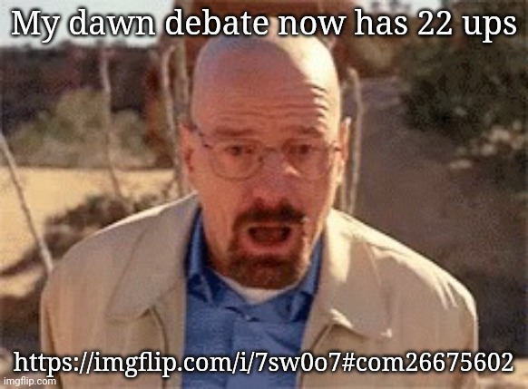 Walter White | My dawn debate now has 22 ups; https://imgflip.com/i/7sw0o7#com26675602 | image tagged in walter white | made w/ Imgflip meme maker