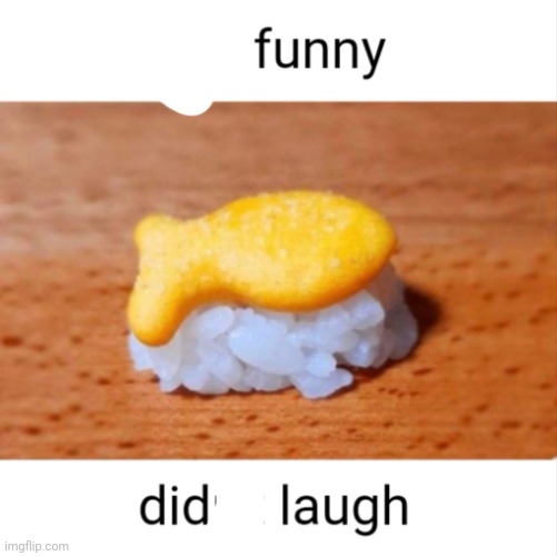 Not funny didn't laugh goldfish sushie | image tagged in not funny didn't laugh goldfish sushie | made w/ Imgflip meme maker