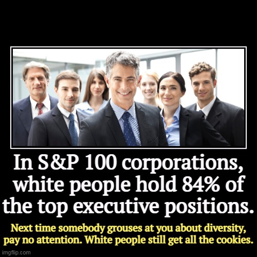 White men, are NOT being discriminated against. More endless self-pity from white snowflakes. | In S&P 100 corporations, white people hold 84% of the top executive positions. | Next time somebody grouses at you about diversity, pay no a | image tagged in funny,demotivationals,white people,jobs,diversity,affirmative action | made w/ Imgflip demotivational maker