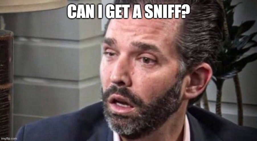 don trump jr coked up (facing left) | CAN I GET A SNIFF? | image tagged in don trump jr coked up facing left | made w/ Imgflip meme maker
