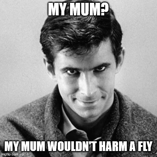 Norman Bates | MY MUM? MY MUM WOULDN'T HARM A FLY | image tagged in norman bates | made w/ Imgflip meme maker