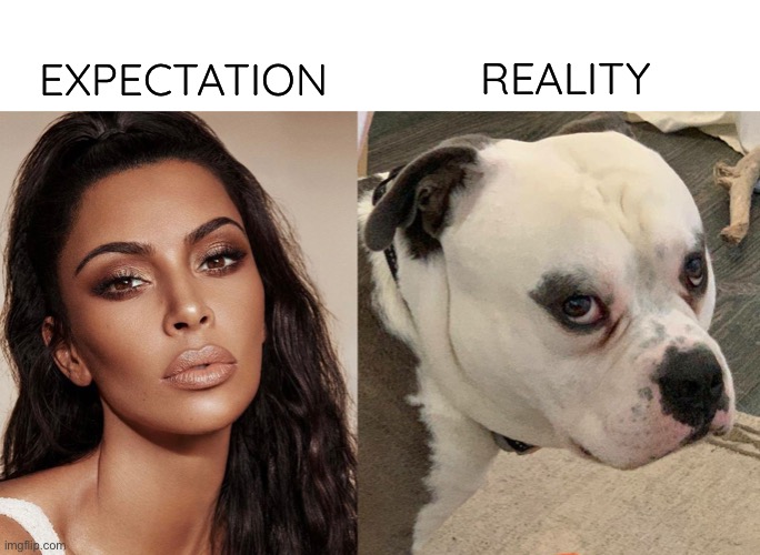 reality check | REALITY; EXPECTATION | image tagged in funny,dog,meme,kim kardashian,makeup,expectation vs reality | made w/ Imgflip meme maker