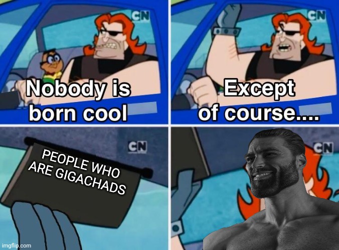 Nobody is born cool | PEOPLE WHO ARE GIGACHADS | image tagged in nobody is born cool,giga chad | made w/ Imgflip meme maker