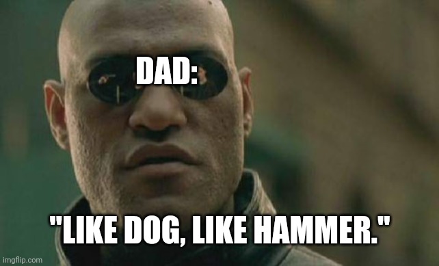 Tough | DAD:; "LIKE DOG, LIKE HAMMER." | image tagged in memes,matrix morpheus,dad,quotes | made w/ Imgflip meme maker