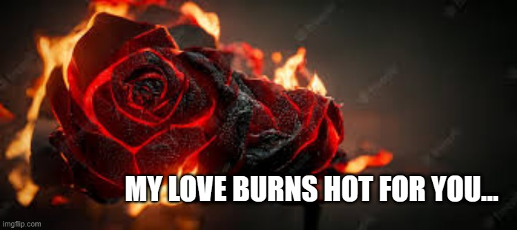 MY LOVE BURNS HOT FOR YOU... | made w/ Imgflip meme maker