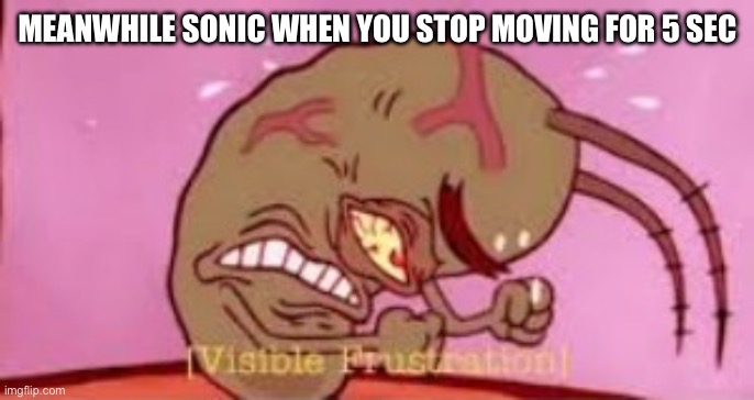 Visible Frustration | MEANWHILE SONIC WHEN YOU STOP MOVING FOR 5 SEC | image tagged in visible frustration | made w/ Imgflip meme maker