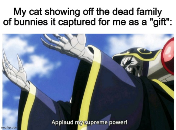 Thanks, ig... *disgusted face* | My cat showing off the dead family of bunnies it captured for me as a "gift": | image tagged in applaud my supreme power | made w/ Imgflip meme maker
