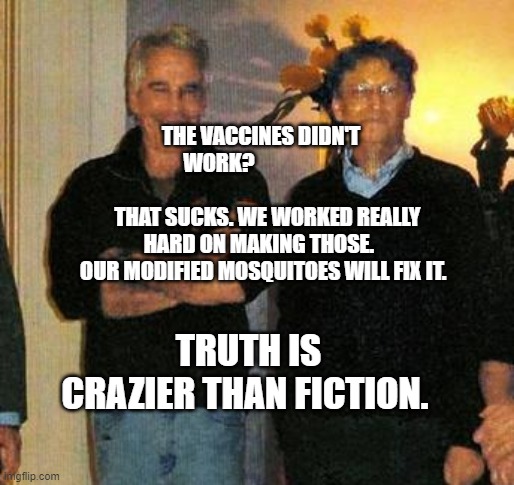 epstein and gates | THE VACCINES DIDN'T WORK?                                        
   THAT SUCKS. WE WORKED REALLY HARD ON MAKING THOSE. 
 OUR MODIFIED MOSQUITOES WILL FIX IT. TRUTH IS CRAZIER THAN FICTION. | image tagged in epstein and gates | made w/ Imgflip meme maker