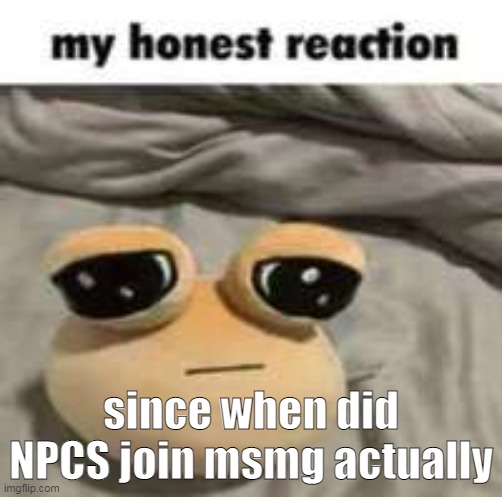 certain users feel like an ai that is trying to be human but fails miserably | since when did NPCS join msmg actually | image tagged in my honest reaction | made w/ Imgflip meme maker