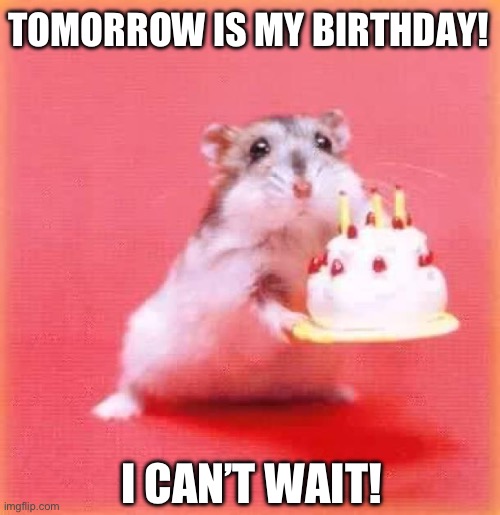 I don’t really need a title for this now, do I? | TOMORROW IS MY BIRTHDAY! I CAN’T WAIT! | image tagged in my birthday,fun times,why are you reading the tags | made w/ Imgflip meme maker