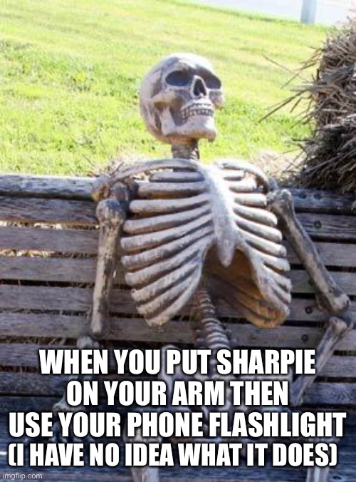 iPhone | WHEN YOU PUT SHARPIE ON YOUR ARM THEN USE YOUR PHONE FLASHLIGHT; (I HAVE NO IDEA WHAT IT DOES) | image tagged in memes,waiting skeleton | made w/ Imgflip meme maker