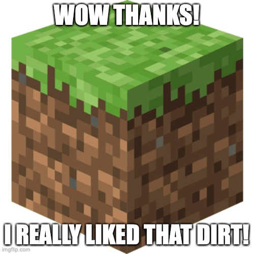 Minecraft block | WOW THANKS! I REALLY LIKED THAT DIRT! | image tagged in minecraft block | made w/ Imgflip meme maker