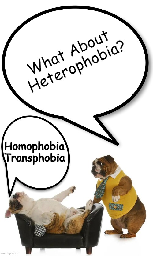 Bizarro World | What About 
Heterophobia? Homophobia
Transphobia | image tagged in politics,transphobic,homophobic,heterophobic,opposite day,bizarre | made w/ Imgflip meme maker