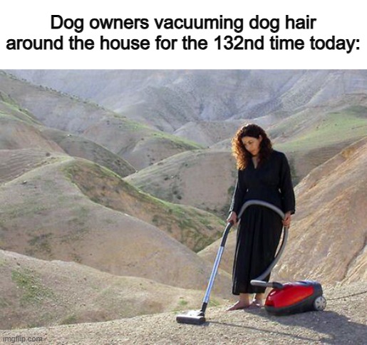 Dogs seem to really make a mess around the house @_@ | Dog owners vacuuming dog hair around the house for the 132nd time today: | image tagged in stoner vacuum | made w/ Imgflip meme maker