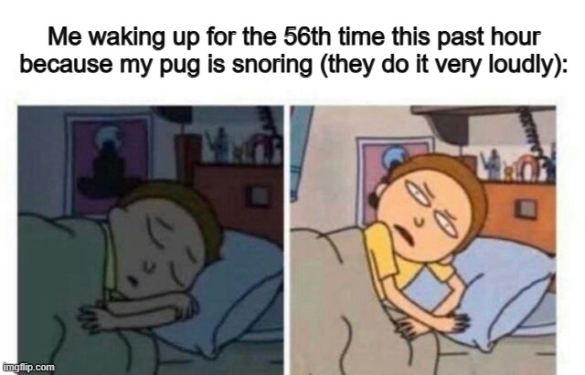 That must be annoying .-. | Me waking up for the 56th time this past hour because my pug is snoring (they do it very loudly): | image tagged in morty waking up | made w/ Imgflip meme maker
