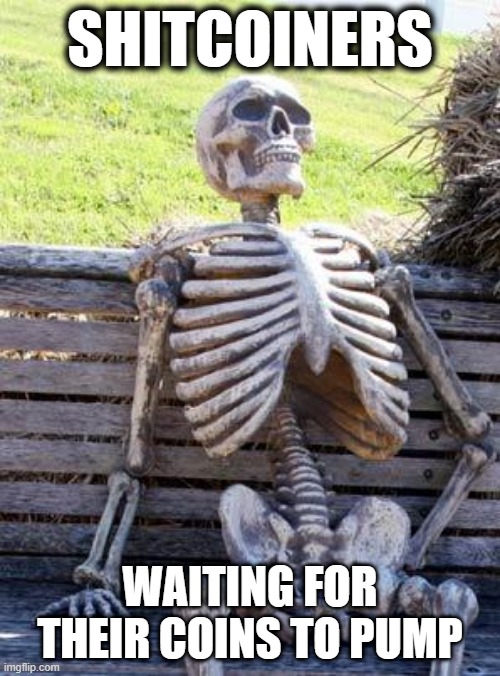 Shitcoiners waiting for their coins to pump | SHITCOINERS; WAITING FOR THEIR COINS TO PUMP | image tagged in memes,waiting skeleton,cryptocurrency,crypto,shitcoiner | made w/ Imgflip meme maker