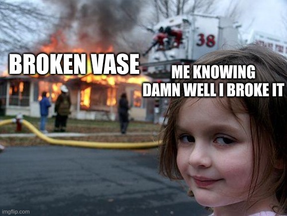 When the vase is broken on the floor: | ME KNOWING DAMN WELL I BROKE IT; BROKEN VASE | image tagged in disaster girl | made w/ Imgflip meme maker