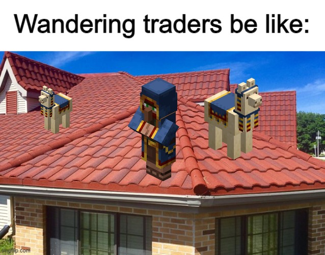 They're so weird... | Wandering traders be like: | image tagged in reposts | made w/ Imgflip meme maker