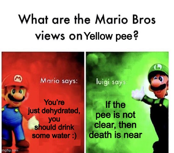 Mario Bros Views | Yellow pee; You’re just dehydrated, you should drink some water :); If the pee is not clear, then death is near | image tagged in mario bros views | made w/ Imgflip meme maker