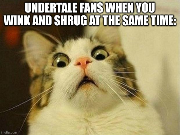 OH GOSH THEY'RE A BOSS NOOOOO | UNDERTALE FANS WHEN YOU WINK AND SHRUG AT THE SAME TIME: | image tagged in memes,scared cat,undertale,sans undertale,asriel | made w/ Imgflip meme maker