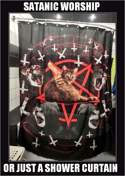 You Decide ! | SATANIC WORSHIP; OR JUST A SHOWER CURTAIN | image tagged in cats,satanic,shower | made w/ Imgflip meme maker